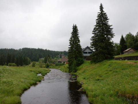 Foto 43
